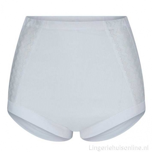Beeren ondergoed klassieke katoenen hoge dames slip Anita 01-001 | Gratis  verzending* | Lingeriehuisonline